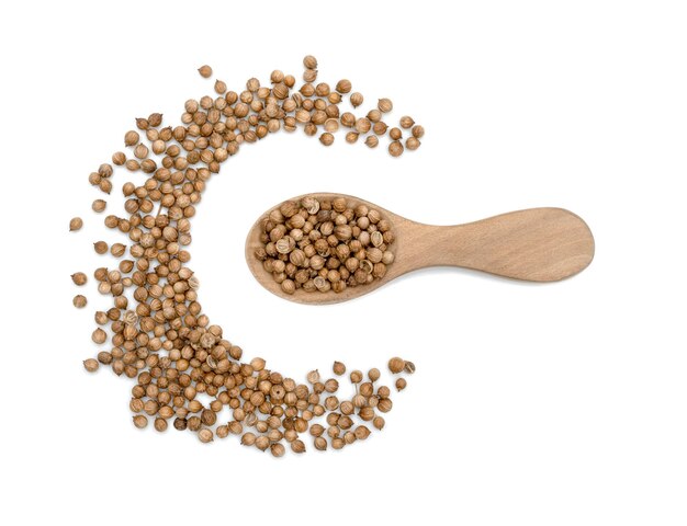 dried coriander seeds in wooden spoon isolated on white background