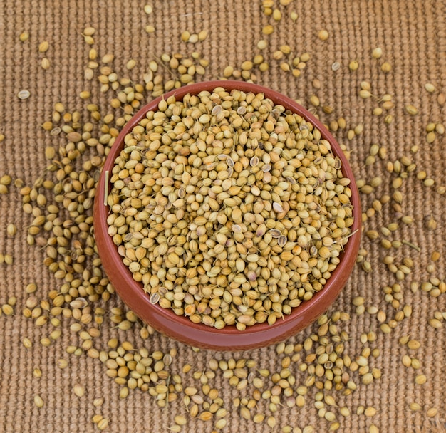 Dried Coriander Seeds