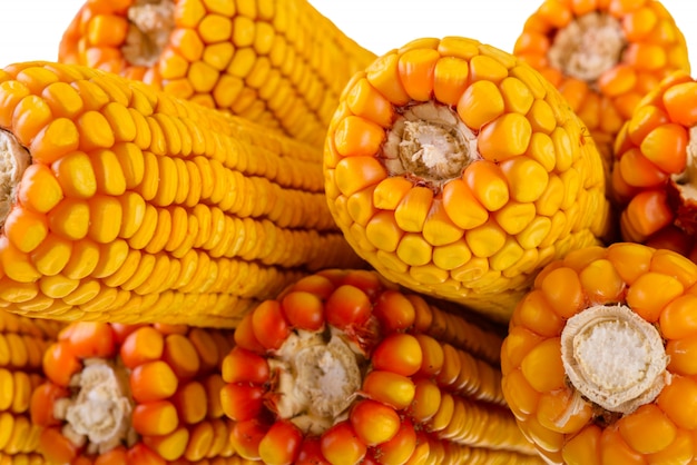 Dried corn on the cob, close-up