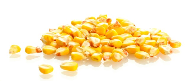 Dried corn isolated on white