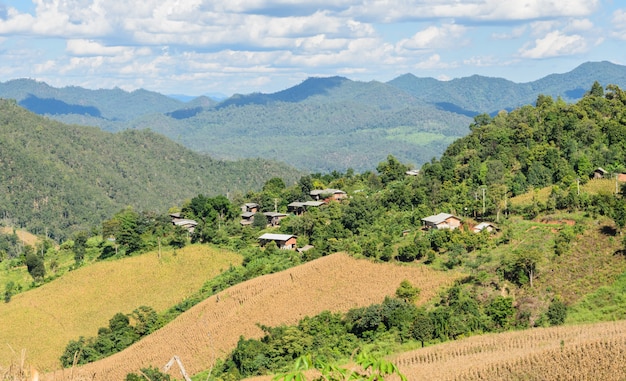 Dried corn terrace field in Thailand