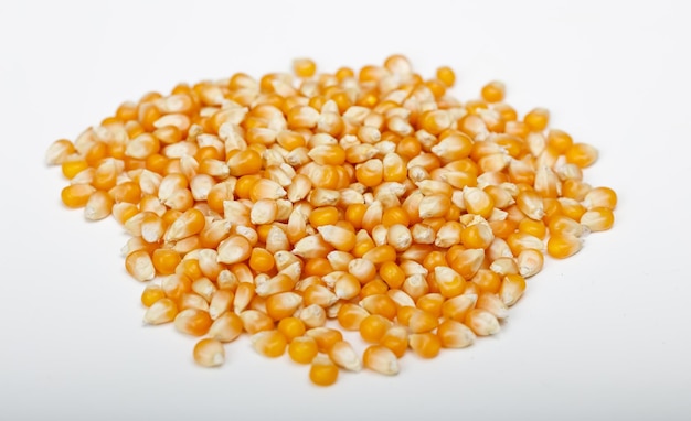 Dried corn on white background