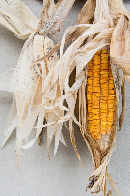 Photo dried corn with concrete background