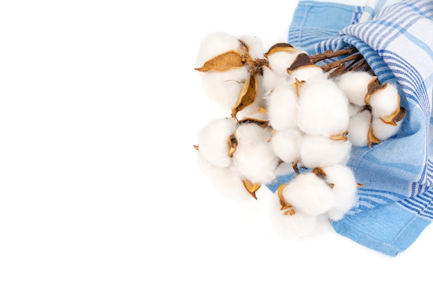 Photo dried cotton flowers on cotton cloth