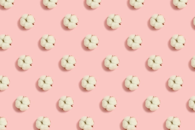 Dried cotton flowers pattern on a pink pastel background