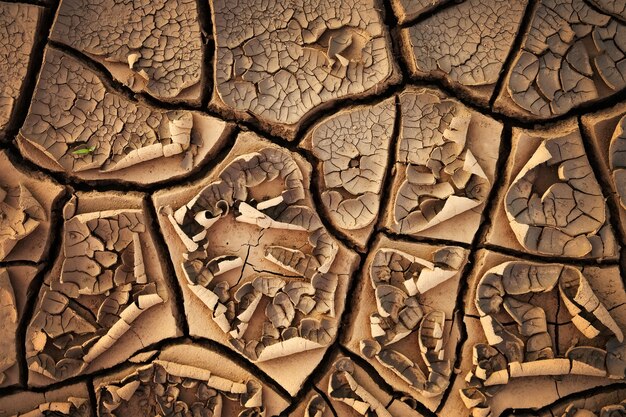 Dried cracked earth soil ground texture background. Mosaic pattern of sunny dried earth soil