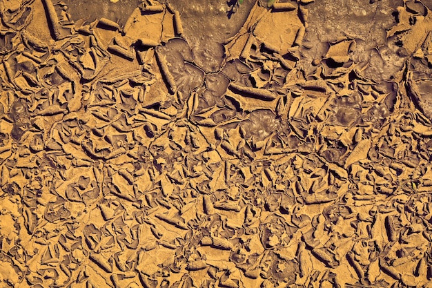 乾燥したひびの入った土の地面のテクスチャの背景。日当たりの良い乾燥した土のモザイクパターン
