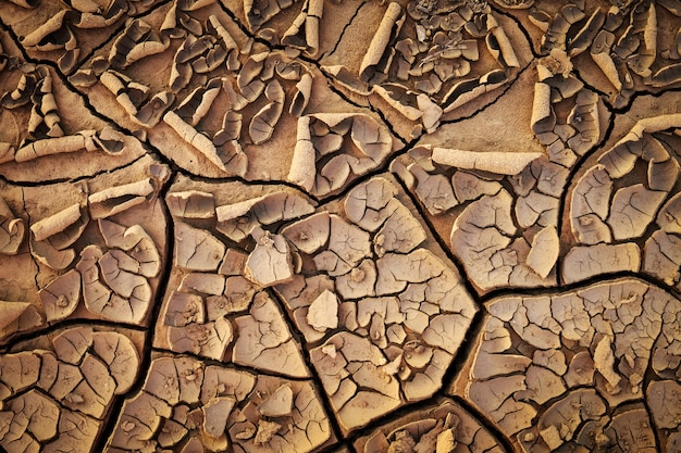 Dried cracked earth soil ground texture .