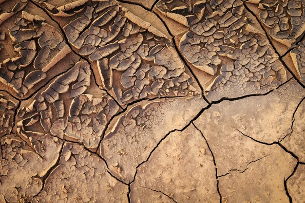 Dried cracked earth soil ground texture .