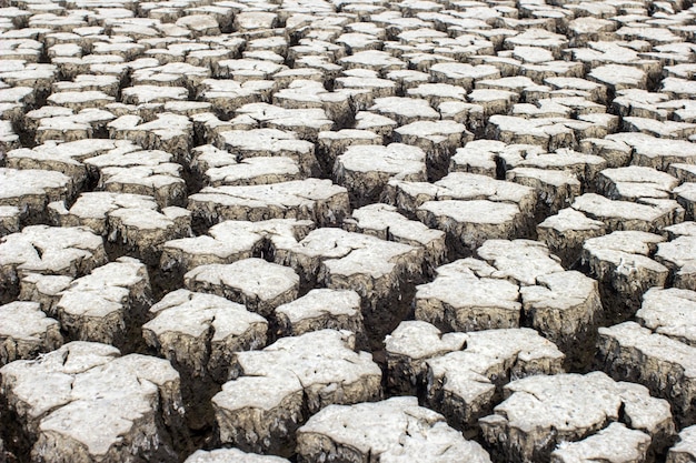 Dried and Cracked ground soil texture