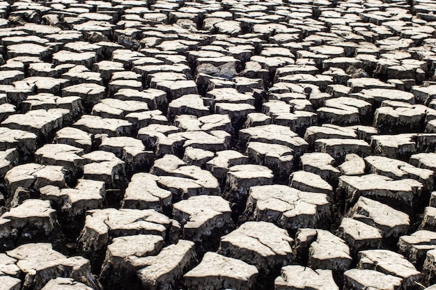 Dried and Cracked ground soil texture