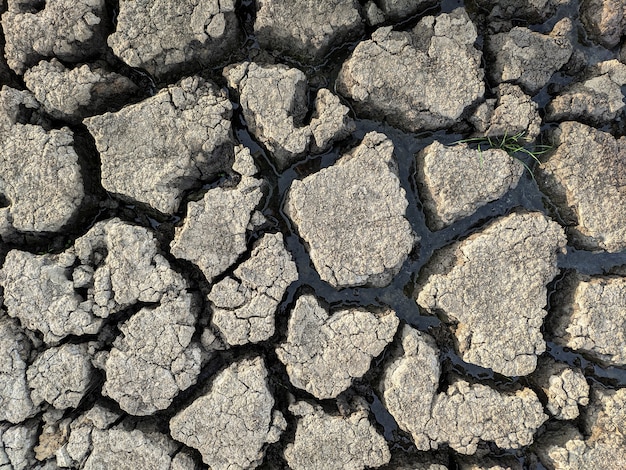 Dried cracked lake bottom background texture global warming