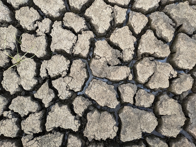 Dried cracked lake bottom background texture global warming