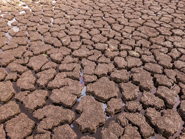 乾燥したひびの入った湖底背景テクスチャ地球温暖化