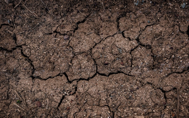 Dried cracked surface of agricultural field view from above