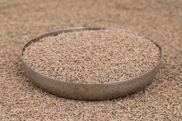 Photo dried cumin seeds