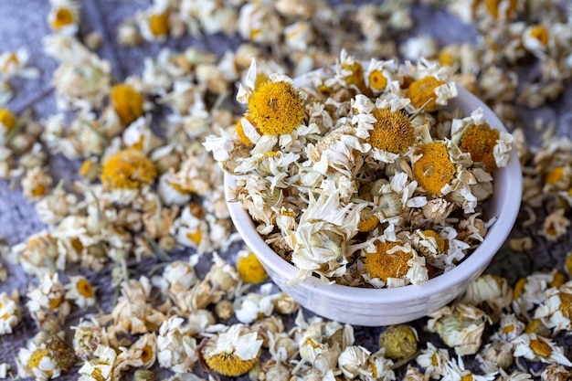 Dried daisy on the wooden background