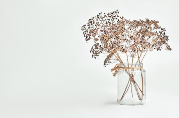 写真 明るい背景のガラスの瓶に乾燥したディルの花