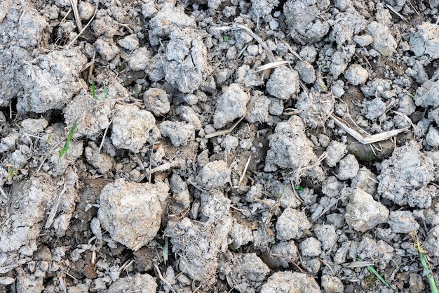 Photo dried dug soil close up top view inside of an agricultural farm