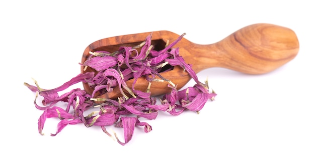 Dried Echinacea flowers in wooden scoop, isolated on white background. Petals of Echinacea purpurea. Medicinal herbs.