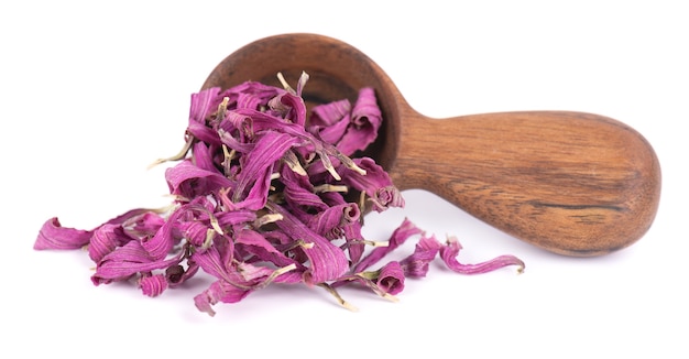 Dried Echinacea flowers in wooden spoon, isolated on white background. Petals of Echinacea purpurea. Medicinal herbs.