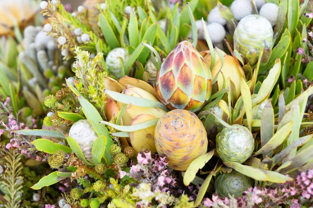 Dried fall flowers