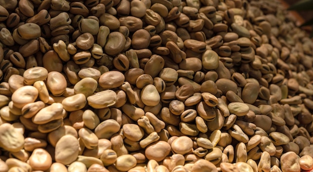 Dried fava beans food background