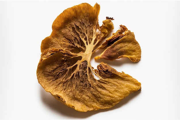 Dried fig isolated on a white backdrop sharp focus looking up Lay flat