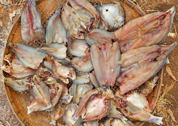 dried fish display many kind of fish such as gourami