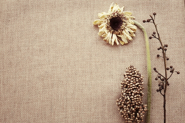 Dried flower on linen fabric.