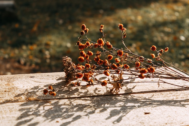 Dried flowers are lying on the table against the background of an autumn forest. Selective focus. The concept of a warm autumn.