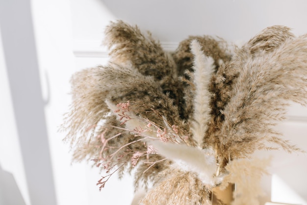 Dried flowers in a brown glass vase close up on a white wall background