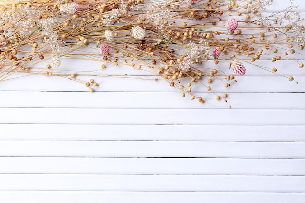 Dried flowers on color wooden planks background