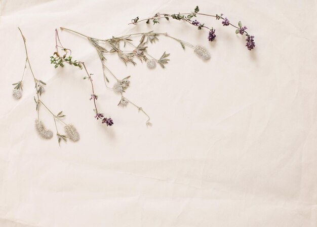 Dried flowers on crumpled old paper