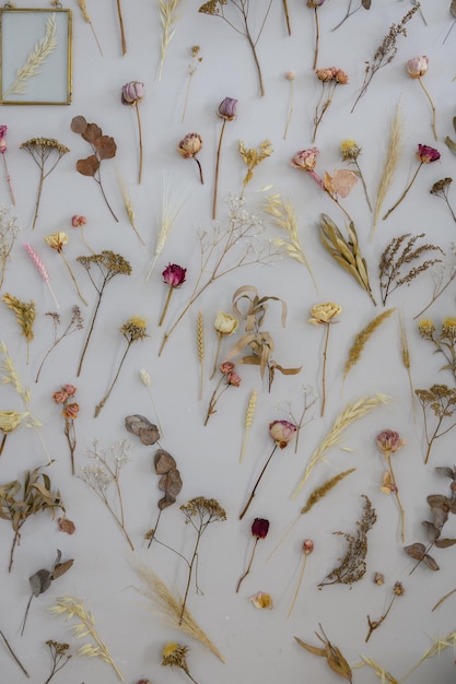 Dried Flowers Wallpaper Images - Free Download on Freepik