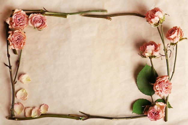 Dried flowers on paper background