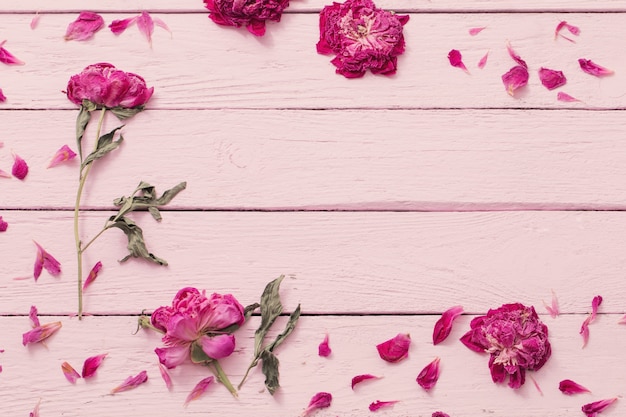 Dried flowers on pink wooden background