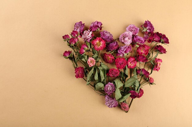 Dried flowers in shape of heart on color background