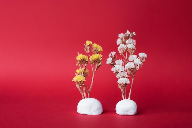 Dried flowers statice white and yellow on a stand