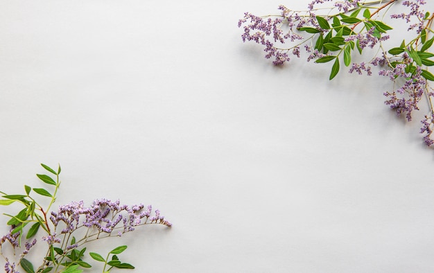 Photo dried flowers on a white background