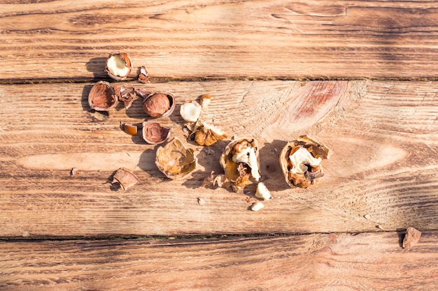 dried fruit on old wood