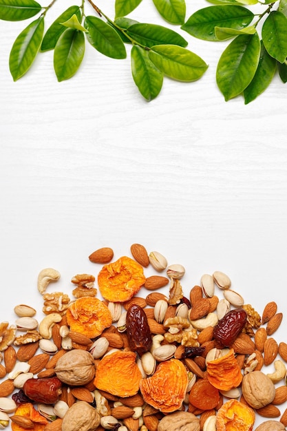 Dried fruits and nuts branch with young green leaves on white background Concept of the Jewish holiday Tu Bishvat Copy space