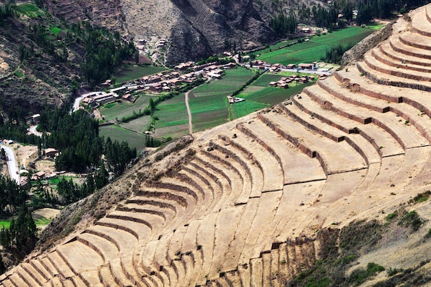 Dried grass in the ancient terraces