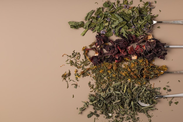 Dried healthy herbs and teas in spoons on a beige background