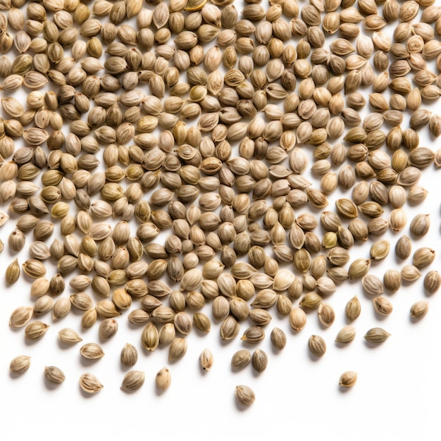 Dried Hemp seeds isolated on white background Generative AI