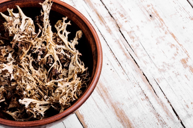 Dried Icelandic medicinal moss