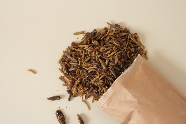ペットフード食虫生物のための乾燥昆虫はタンパク質を必要とします
