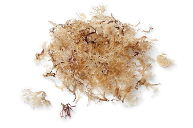 Dried irish moss