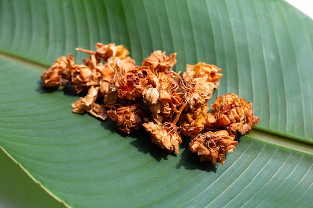 Dried jasmine flowers Herbal tea