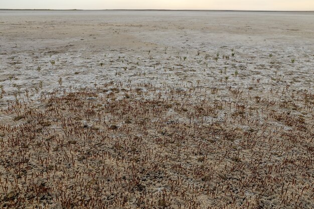 カザフスタンの乾燥湖砂漠草原の塩湖乾燥湖